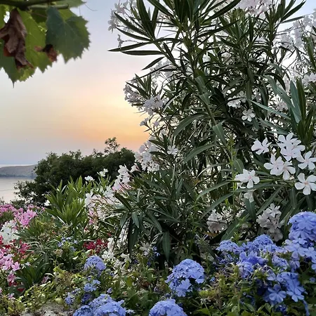 'paraside' Seaside In Delfini Says Netflix *