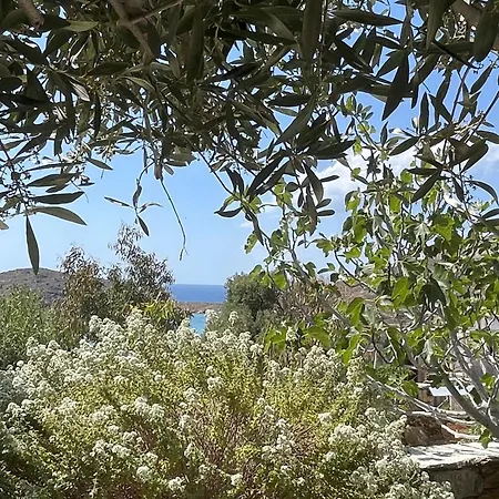 'a Paradise On Earth' Seaside - Says Netflix *