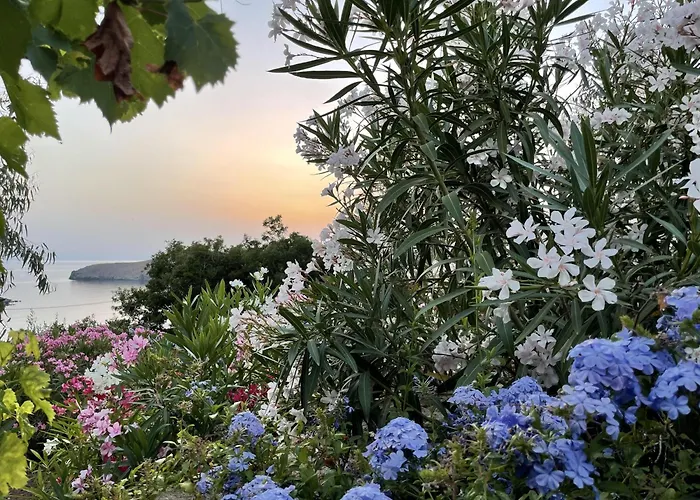 'a Paradise On Earth' Seaside - Says Netflix *